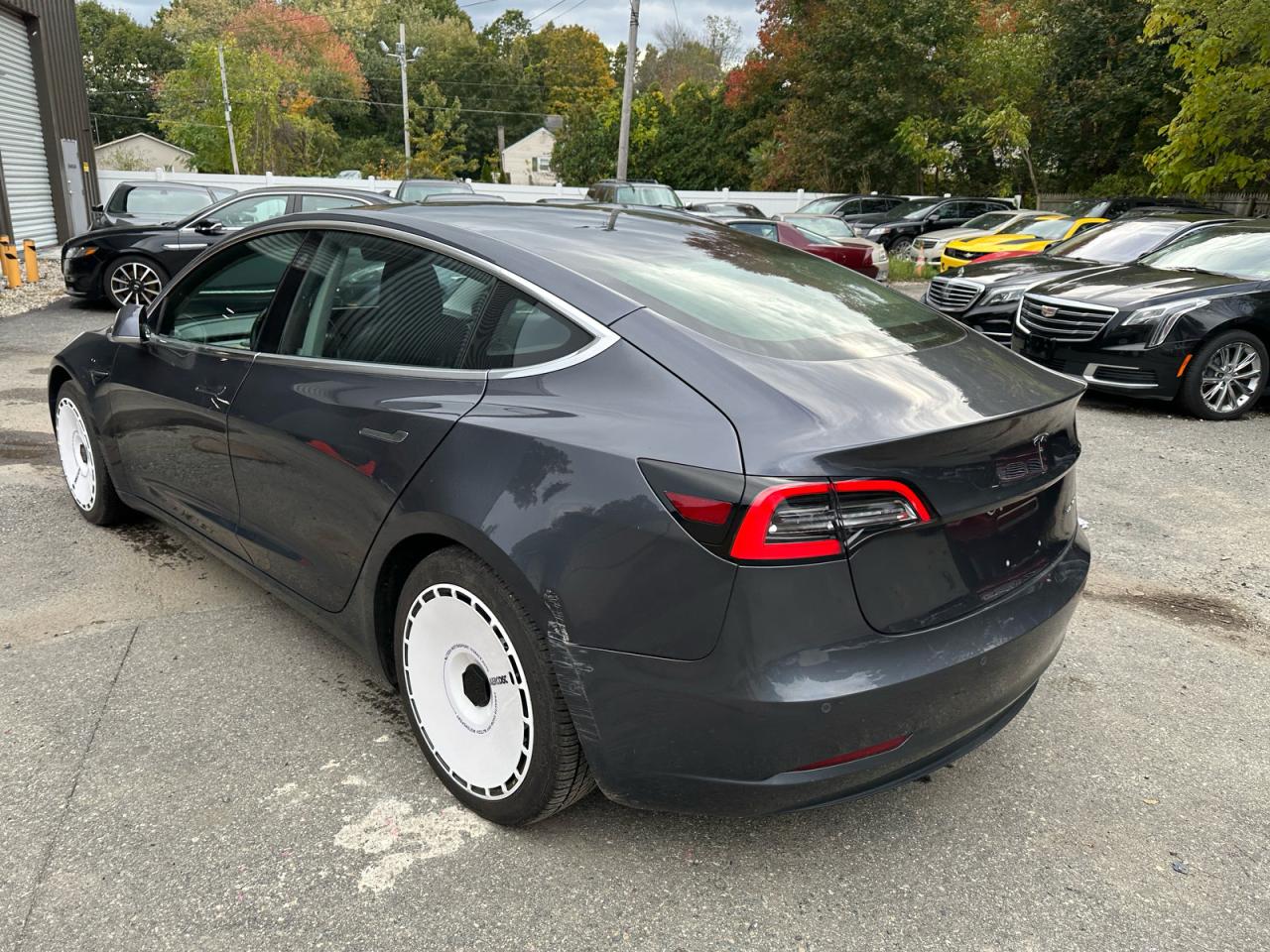 Tesla Model 3 Image 6