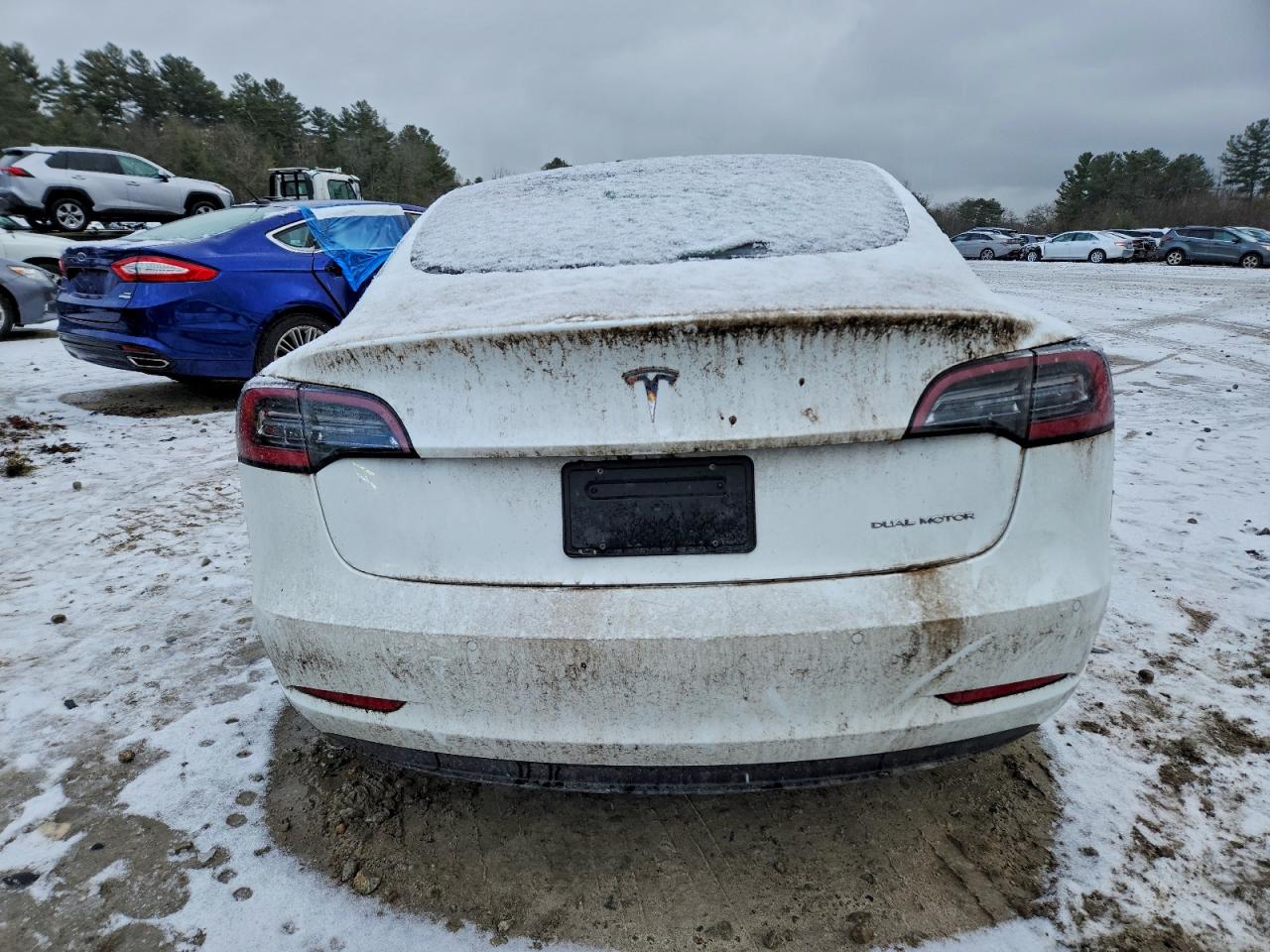 Tesla Model 3 Image 10