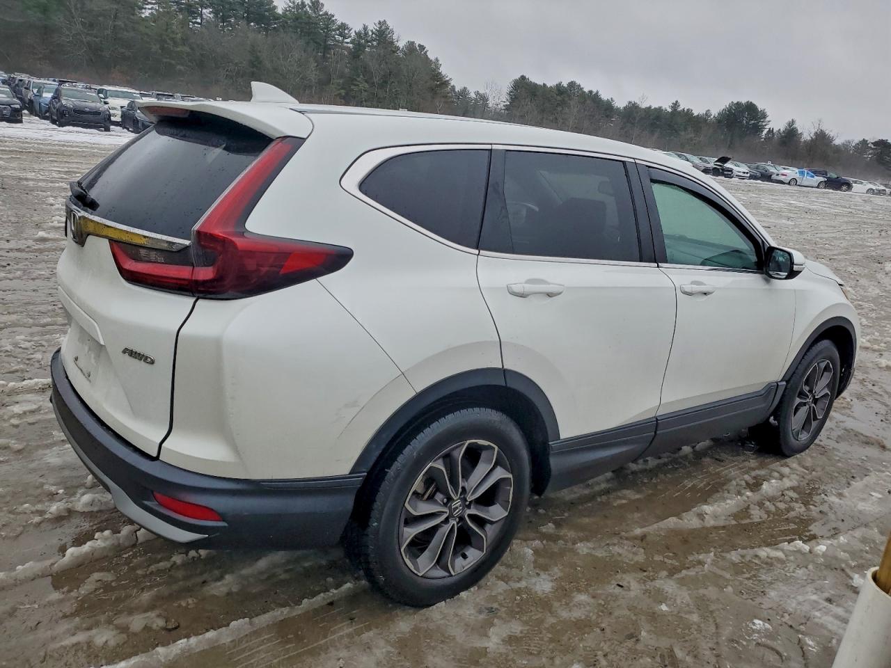 Honda Crv Exl Image 3