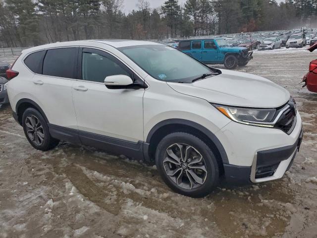 Honda Crv Exl Image 5