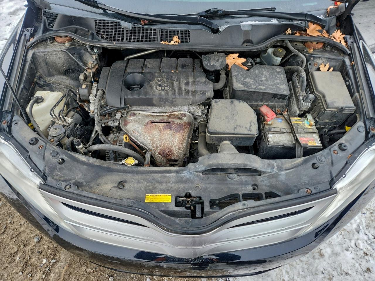 Toyota Venza Le Image 8