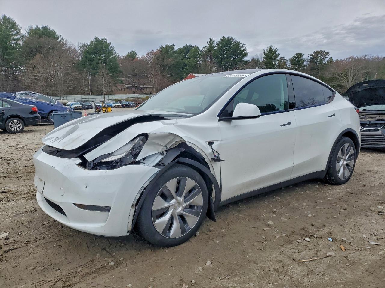 Tesla Model Y Image 1