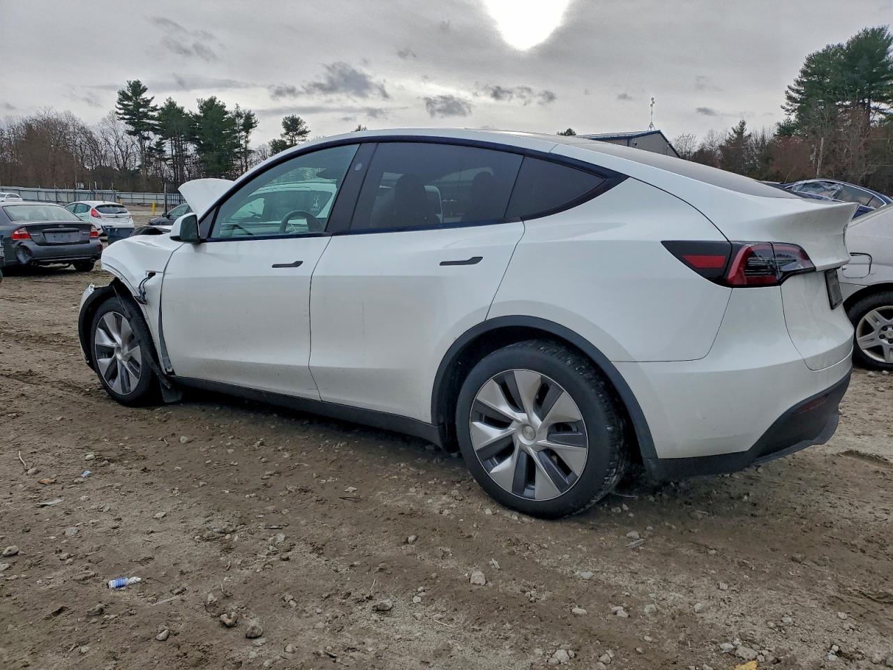Tesla Model Y Image 13