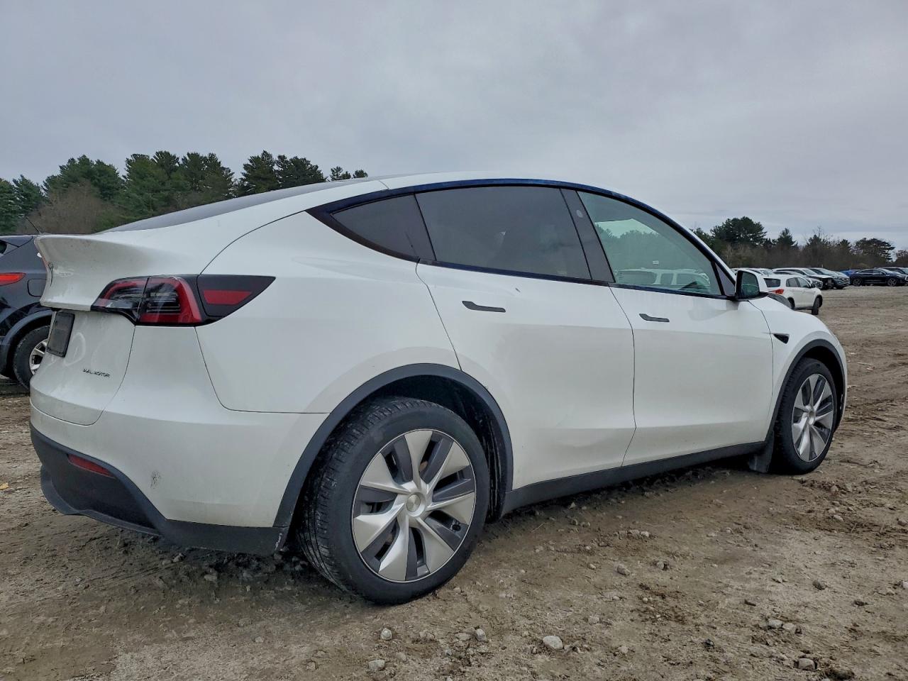 Tesla Model Y Image 12