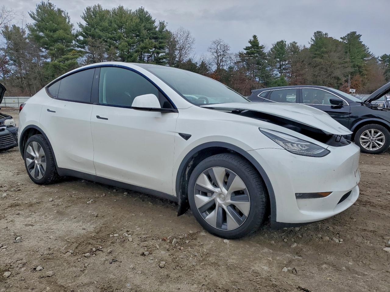 Tesla Model Y Image 11