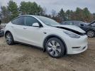 Tesla Model Y Image 11