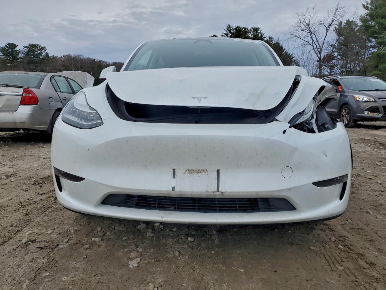 Tesla Model Y Image 7