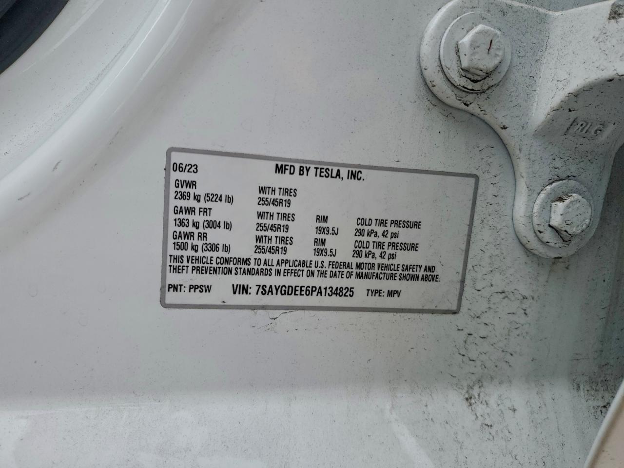 Tesla Model Y Image 2