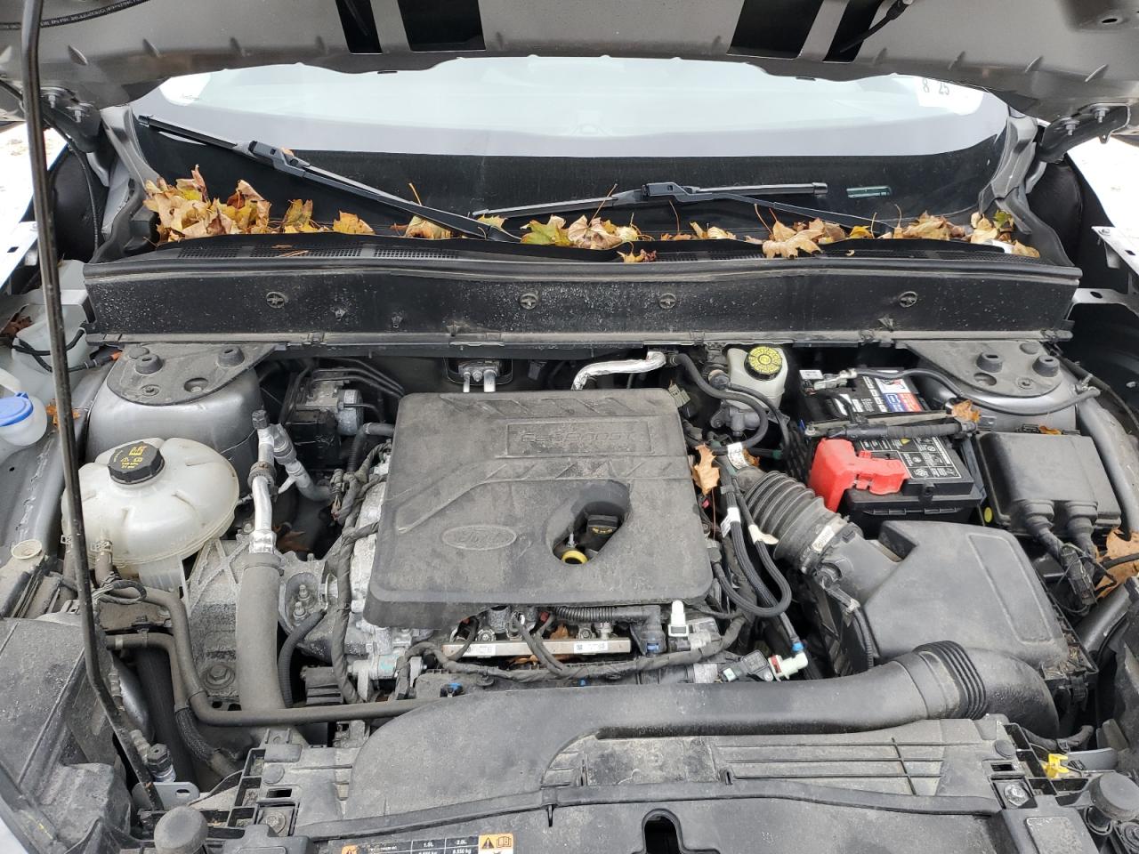 Ford Bronco Big Bend Image 11