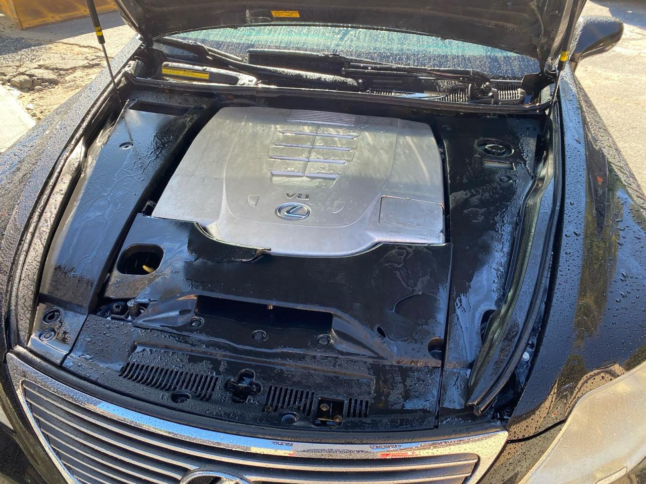 Lexus LS 460 Image 8