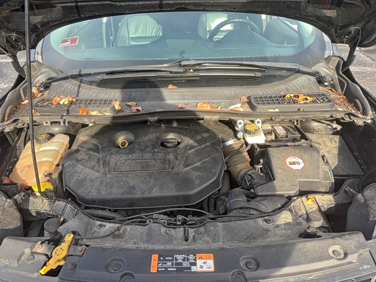 Ford Escape Titanium Image 2