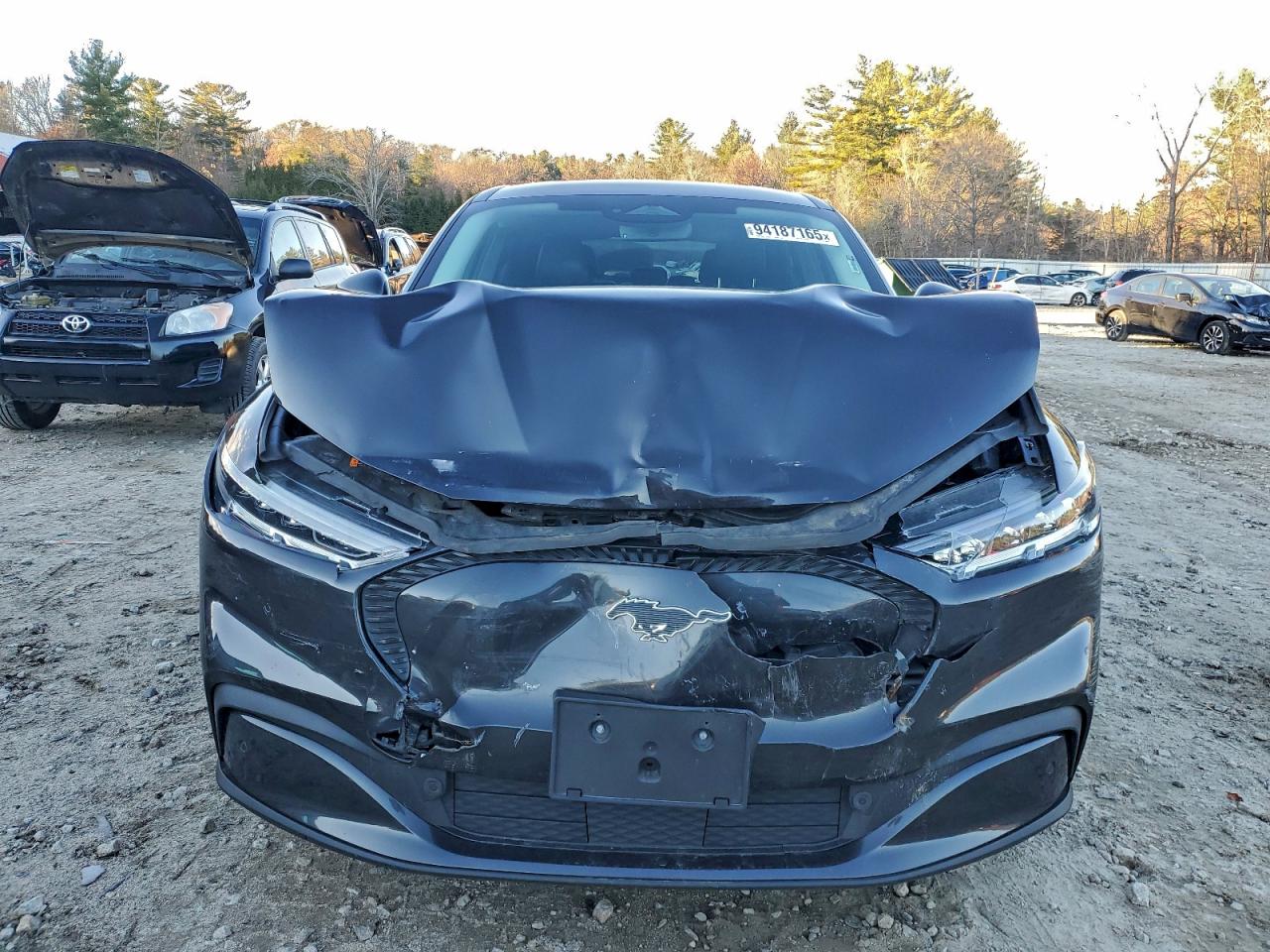 Ford Mustang Select Image 12