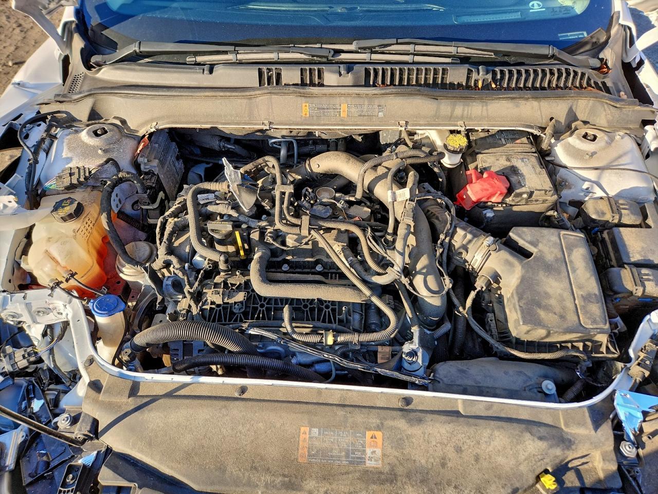 Ford Fusion Se Image 7