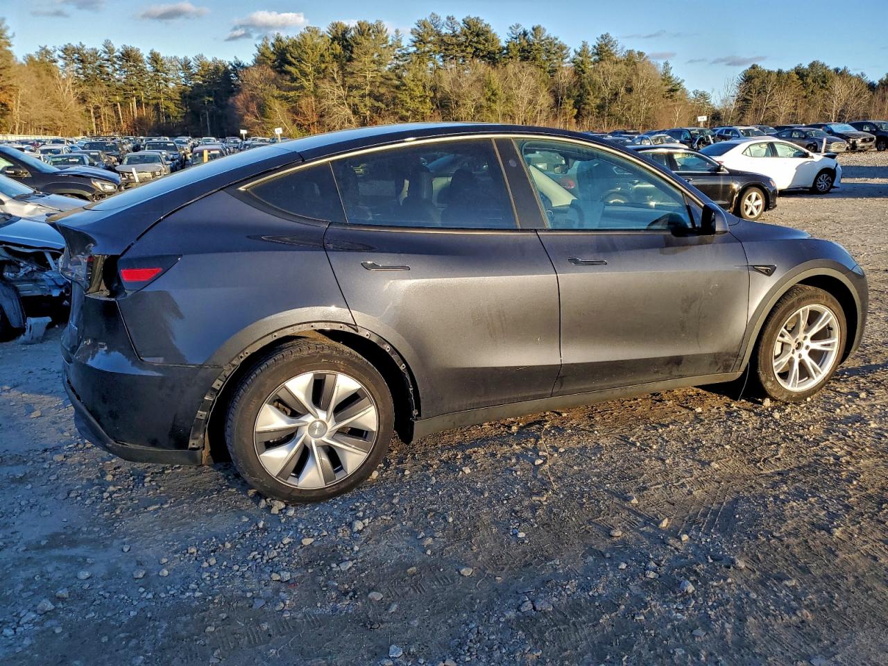 Tesla Model Y Image 12