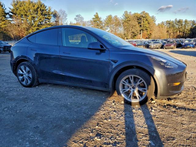 Tesla Model Y Image 4