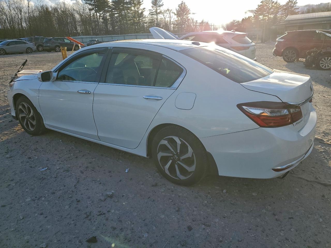 Honda Accord Exl Image 6