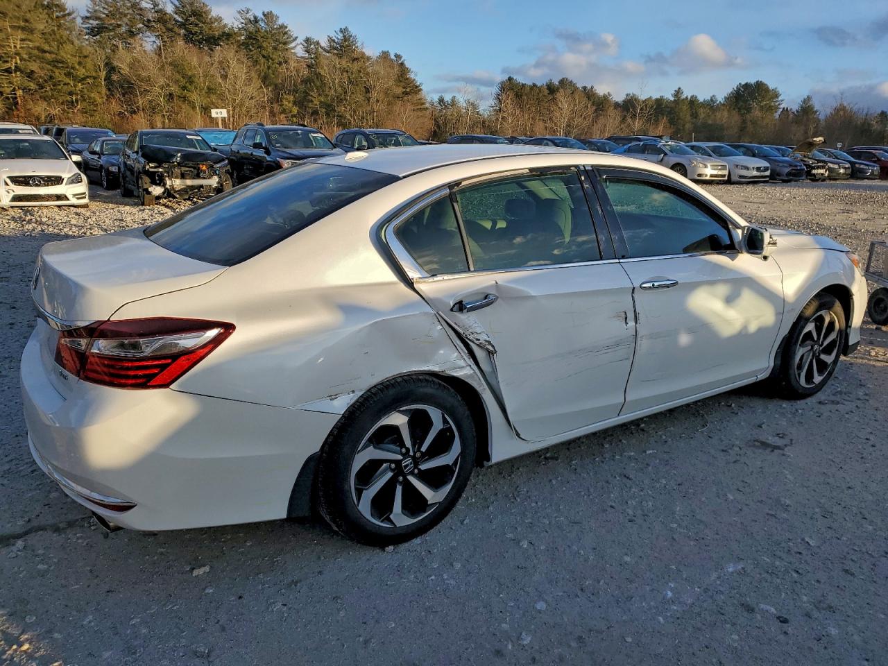 Honda Accord Exl Image 7