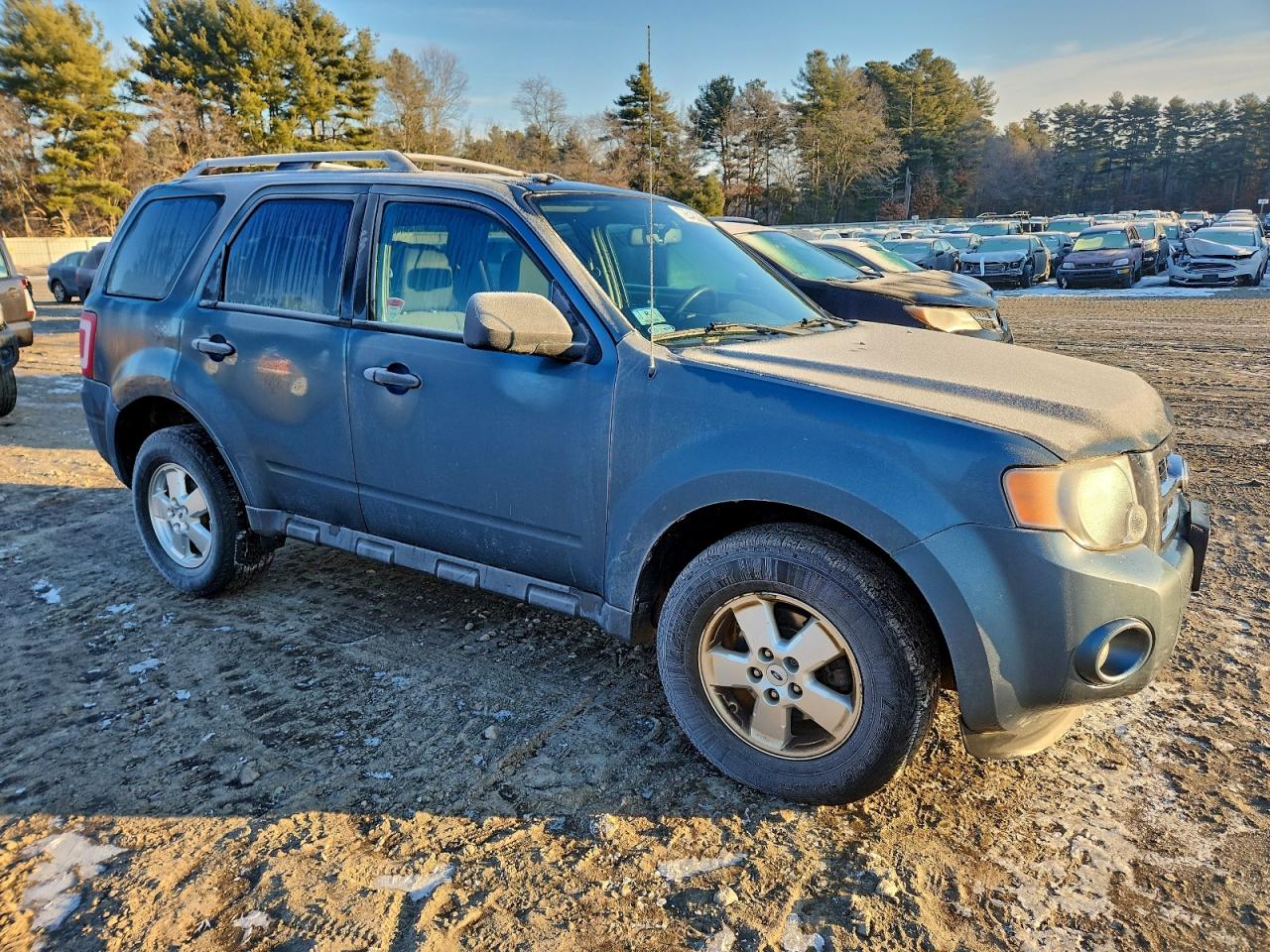 Ford Escape Xlt Image 5