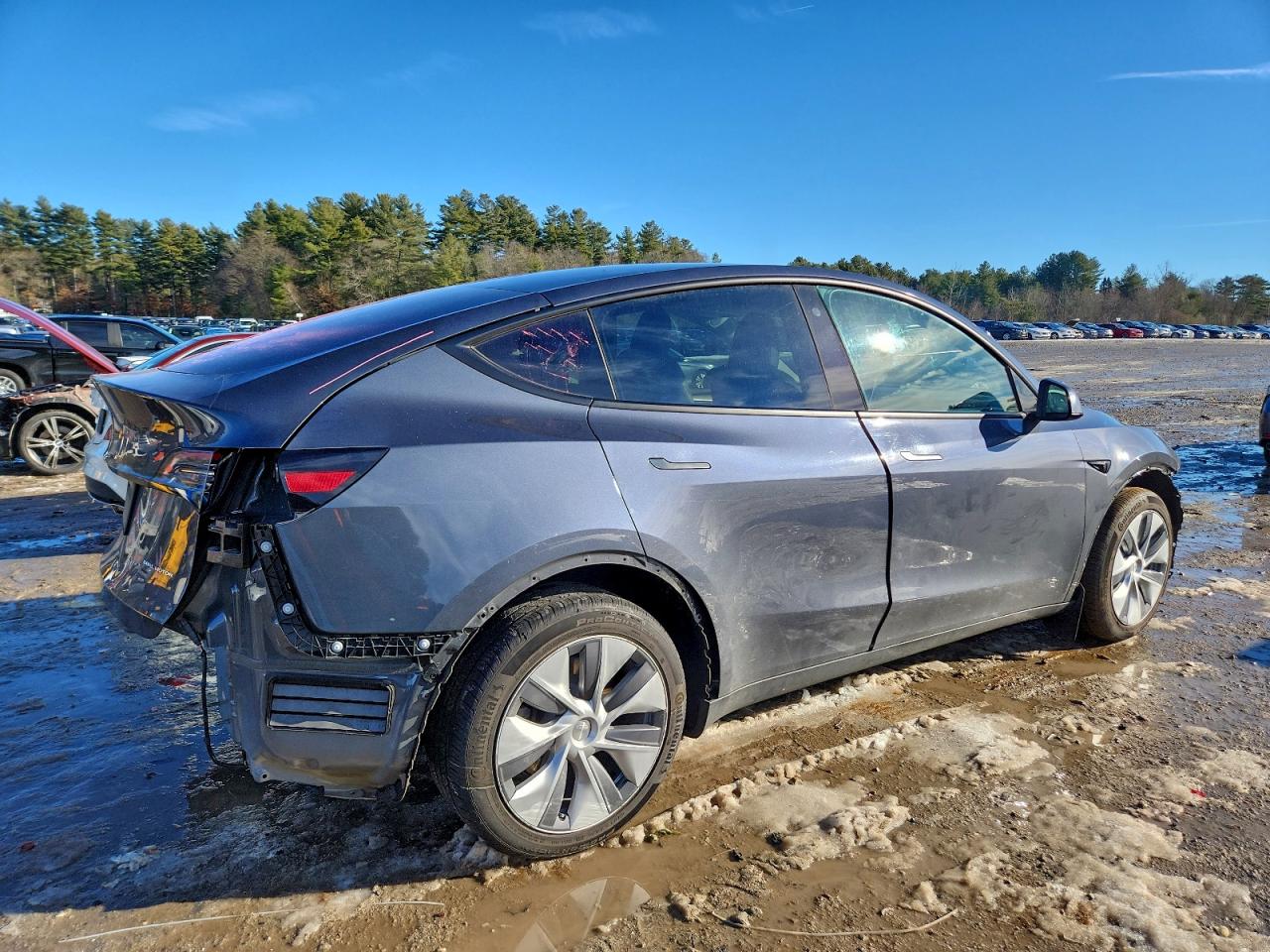 Tesla Model Y Image 2