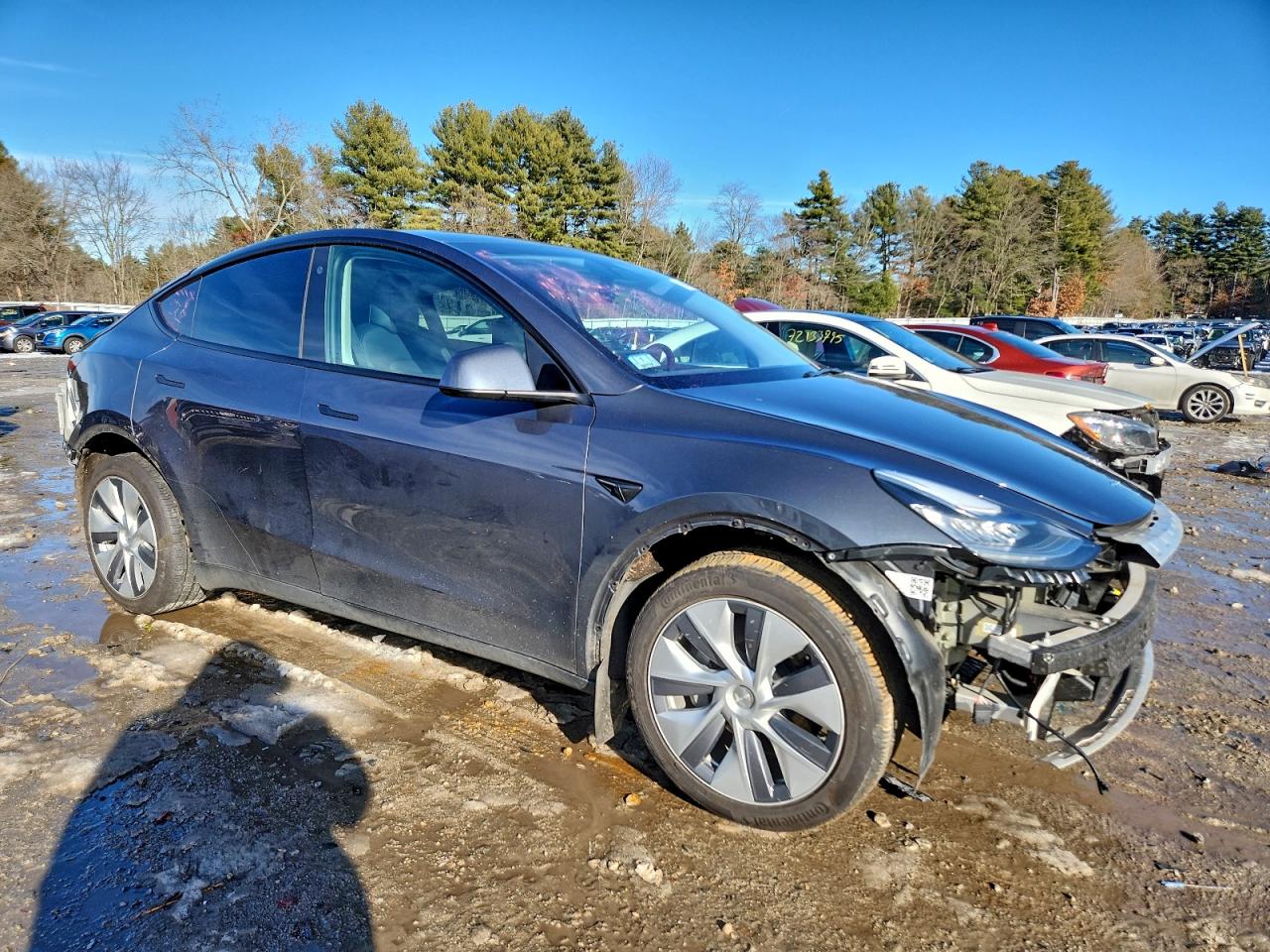 Tesla Model Y Image 10